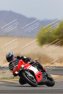 media/Apr-12-2025-Race Pace (Sat) [[9230add55f]]/Vested/6-Turn 4 Tree of Life (115pm)/